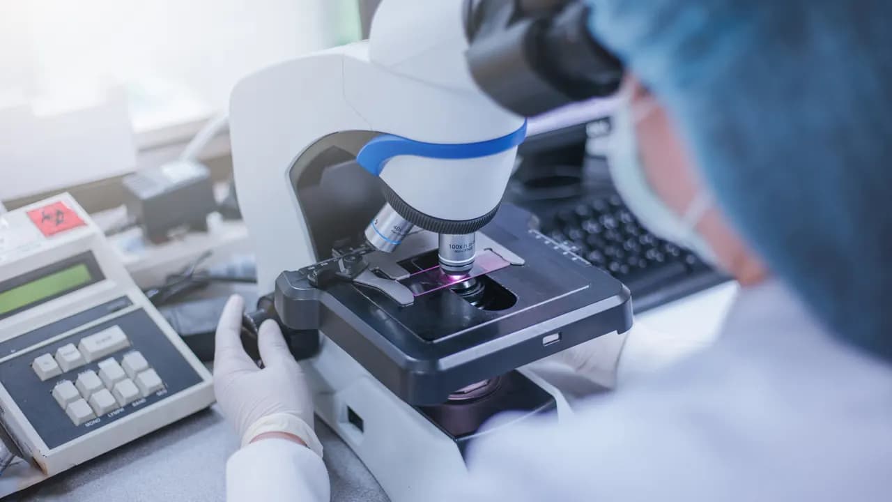 Symbolbild aus Healthcare und Medizintechnik – Outplacement für Fach- und Führungskräfte im Gesundheitswesen